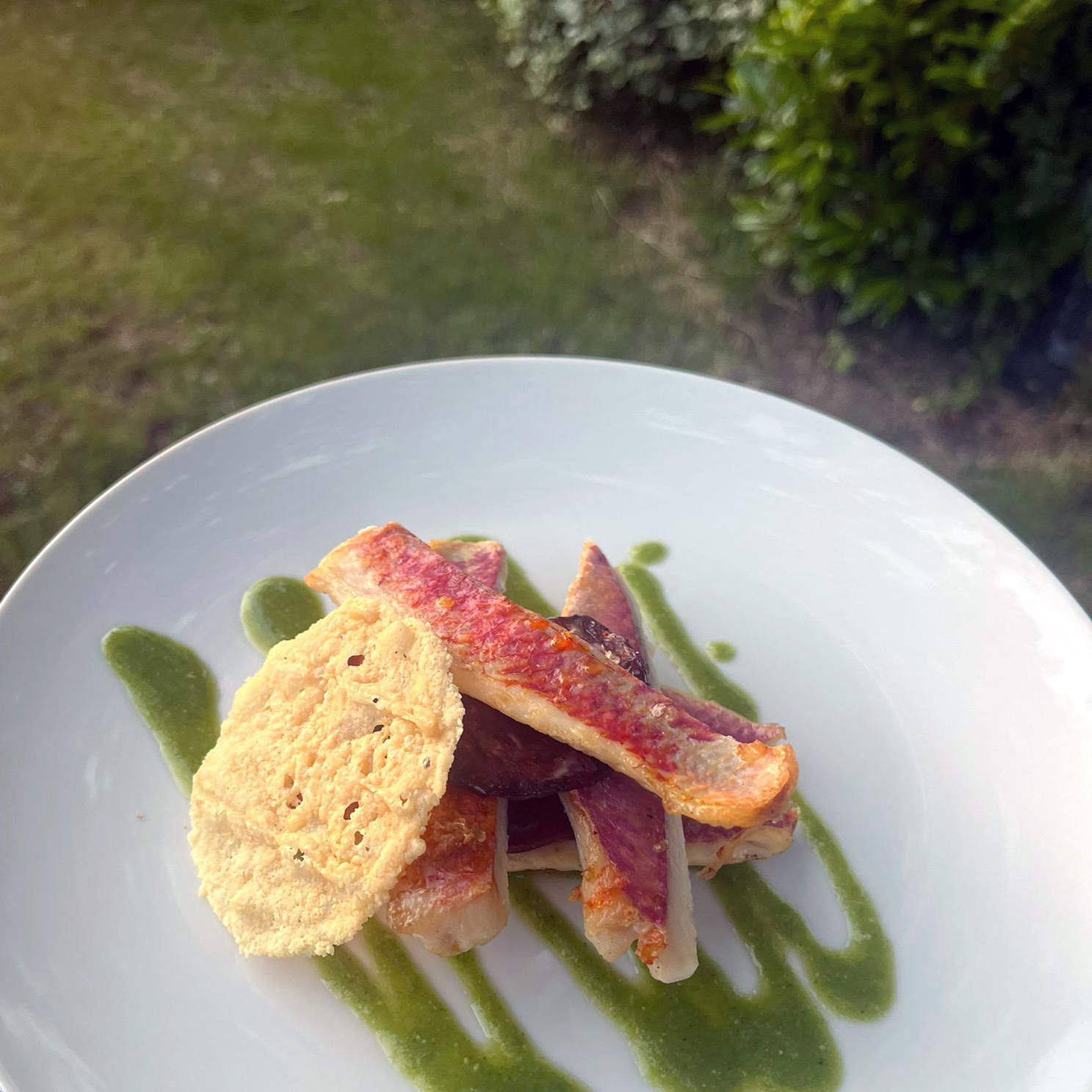 Assiette de filets, de rouget et tuiles de parmesan pour une entrée raffinée par la maison Banqyet